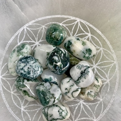 Ágata Árbol (PLENITUD) - Imagen 1